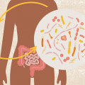The Link Between Gut Bacteria Imbalance and Digestive Disorders