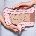 The Impact of Gut Microbiome on Nutrient Absorption: How to Improve Your Digestive Health