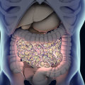 Understanding the Role of Gut Bacteria in Digestion