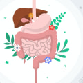 Understanding the Gut Microbiome: What You Need to Know