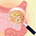 The Role of Gut Bacteria in Digestion: How Different Types of Bacteria Aid in Digestion
