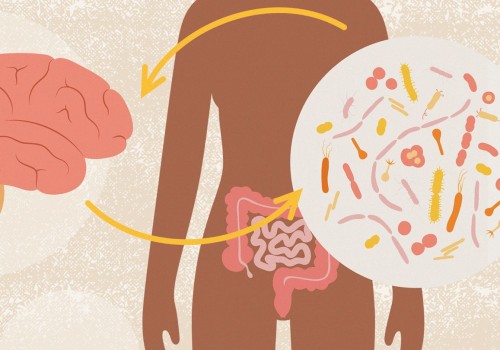 The Link Between Gut Bacteria Imbalance and Digestive Disorders