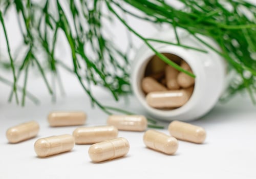 How to Optimize Your Gut Health with Prebiotic Supplements