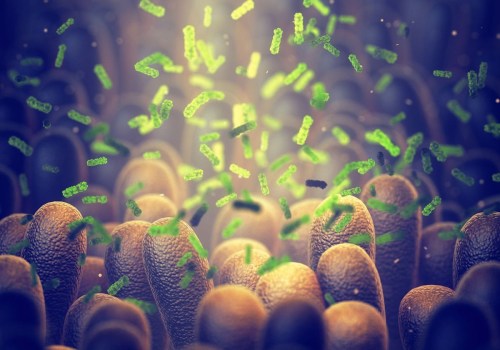 Understanding the Gut Microbiome Composition