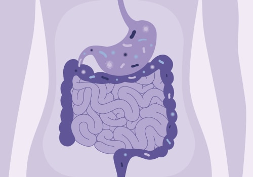 The Importance of a Healthy Gut Microbiome: How to Improve Your Digestive Health