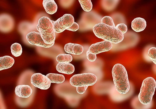 The Role of Gut Bacteria in Digestion: Understanding and Balancing Your Gut Microbiome