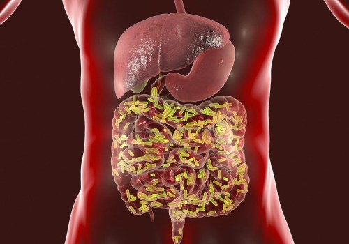 Understanding the Different Types of Bacteria in the Gut Microbiome