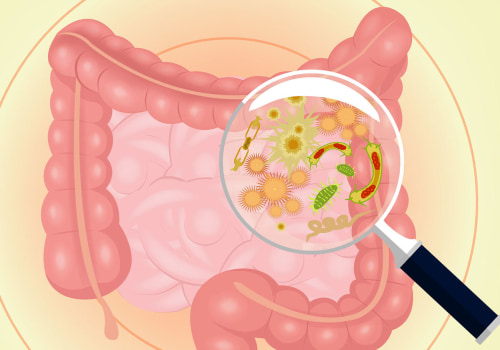 The Role of Gut Bacteria in Digestion: How Different Types of Bacteria Aid in Digestion