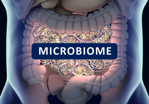 The Importance of a Balanced Gut Microbiome for Digestive Health